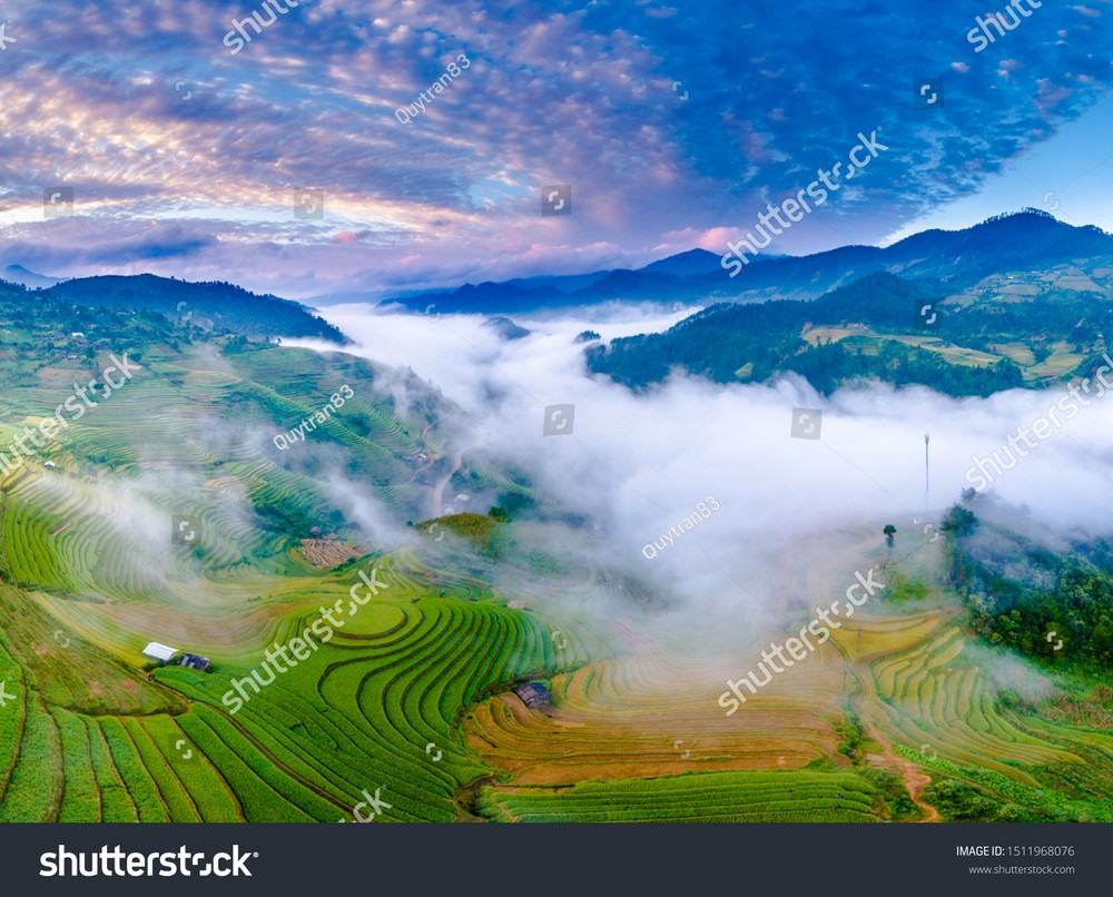 Ruộng bậc thang Tây Bắc MRBT-027